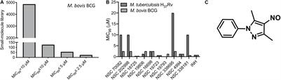 NSC 18725, a Pyrazole Derivative Inhibits Growth of Intracellular Mycobacterium tuberculosis by Induction of Autophagy